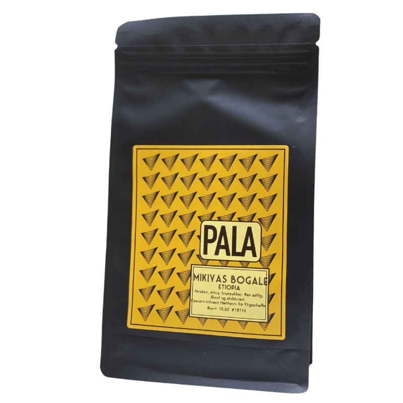 PALA - Mikiyas Bogale