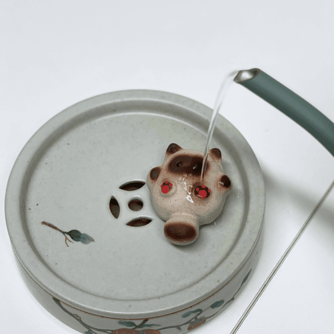 Hovedbilde Siamesisk pusekatt - Tea pet