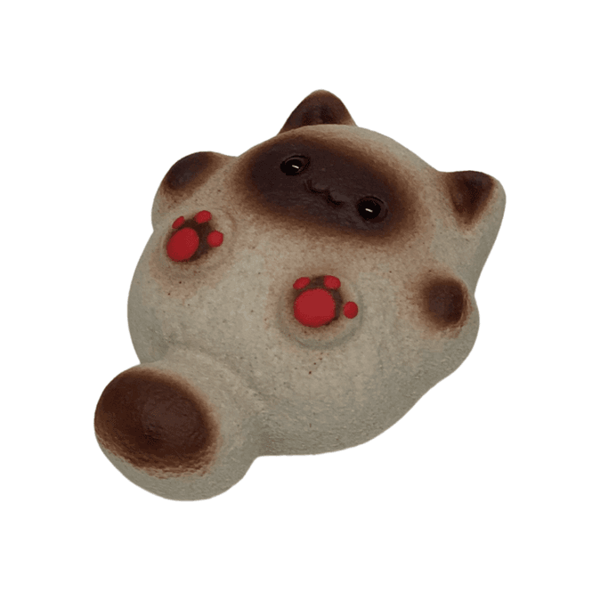 Hovedbilde Siamesisk pusekatt - Tea pet